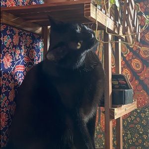 Meet your Posher, Kylee